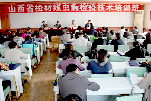 �����ɲľ��x���Ό�헌W������Ӗ